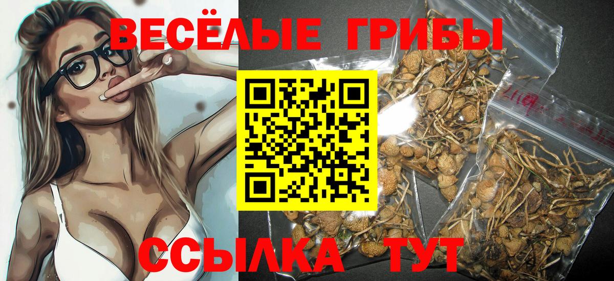 Свободный  Псилоцибиновые грибы Magic Shrooms  Псилоцибиновые грибы Cubensis  Вход с VPN 
