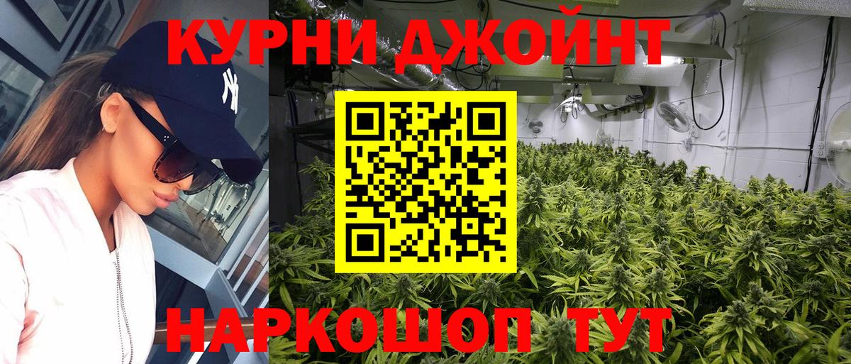 Конопля семена  МАРИХУАНА SATIVA & INDICA  Вход с VPN  Марихуана OG Kush  Свободный 